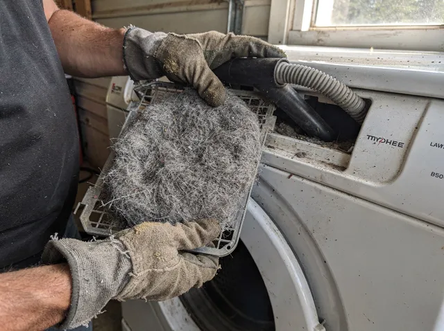 Cleaning Dryer Lint Trap in The Hammocks